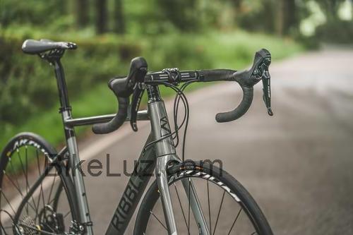 Ribble Endurance AL ficha tecnica